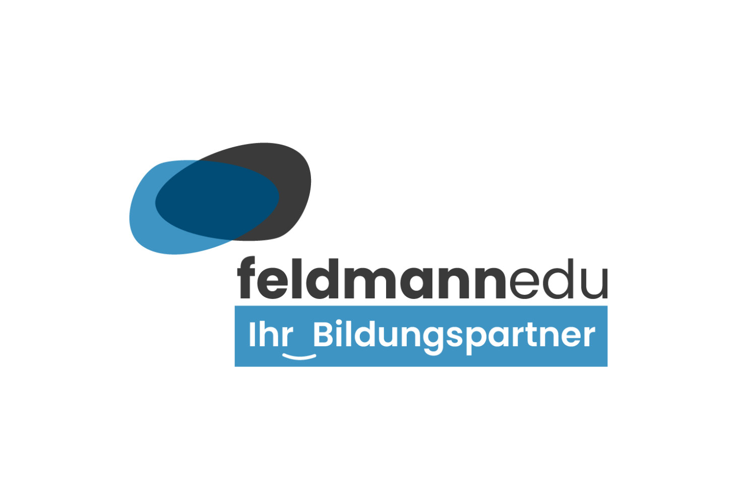FeldmannEdu
